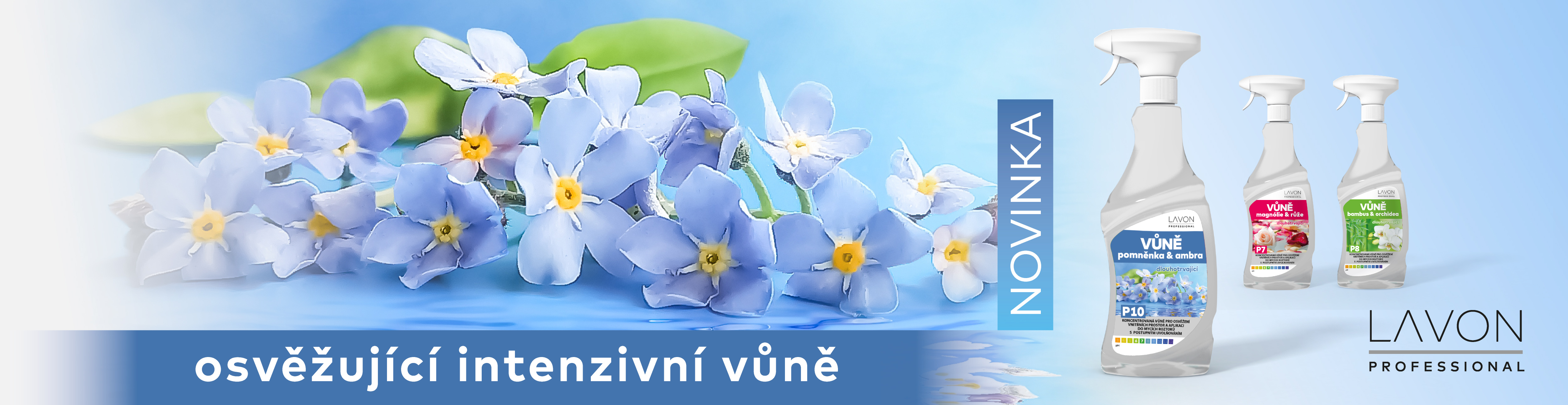 novinka_pomněnka a ambra